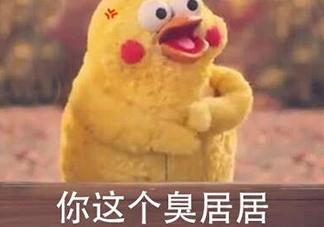你個(gè)臭居居什么意思？你個(gè)臭居居表情包