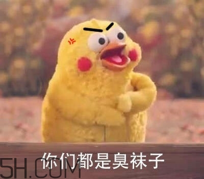你們都是臭襪子什么意思？你們都是臭襪子表情包