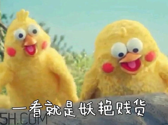 你們都是臭襪子什么意思？你們都是臭襪子表情包