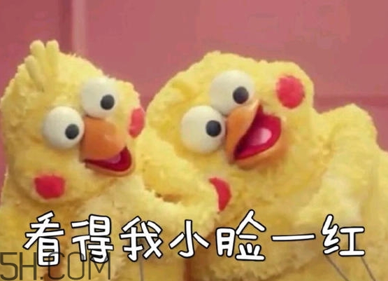 你們都是臭襪子什么意思？你們都是臭襪子表情包
