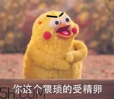你這個(gè)猥瑣的受精卵是什么意思？你這個(gè)猥瑣的受精卵表情包