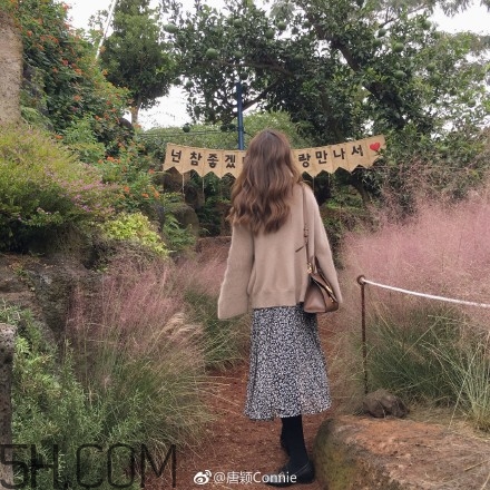 粉黛亂子是什么植物？粉黛亂子草花語(yǔ)