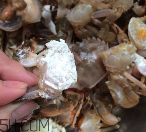 花蓋蟹和梭子蟹哪個好吃？花蓋蟹和梭子蟹區(qū)別