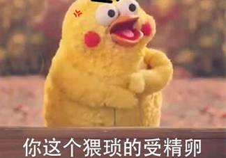 你這個(gè)猥瑣的受精卵是什么意思？你這個(gè)猥瑣的受精卵表情包