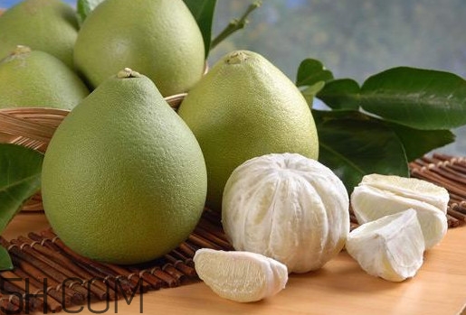 文旦怎么保存？文旦是哪個(gè)地方的特產(chǎn)