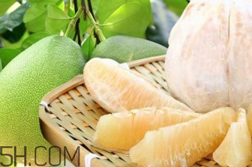文旦柚多少錢一斤？文旦柚是寒性食物嗎