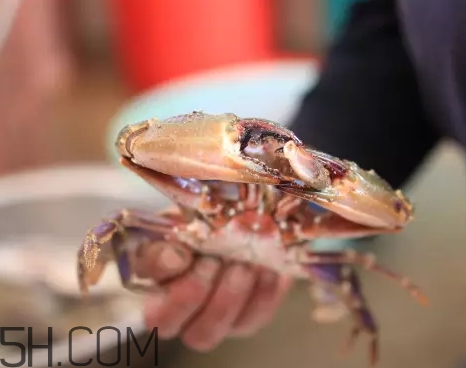 海虹蟹蒸多久才可以熟？海虹蟹蒸多長時(shí)間