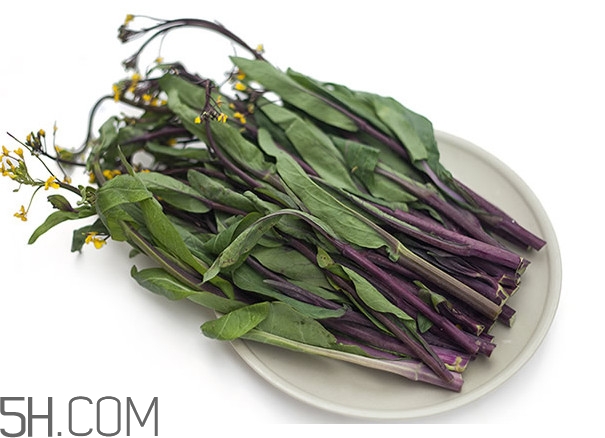 紅菜苔為什么炒出來的汁是藍(lán)色的？紅菜苔是什么菜