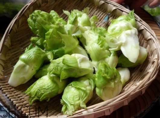 兒菜為什么叫兒菜？兒菜什么季節(jié)吃的