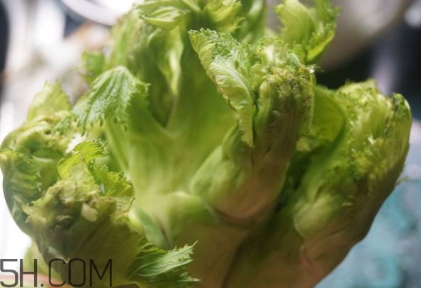 兒菜為什么叫兒菜？兒菜什么季節(jié)吃的
