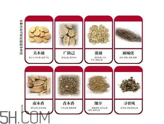 含馬兜鈴酸的藥都不能吃嗎？馬兜鈴酸真的會(huì)致癌嗎