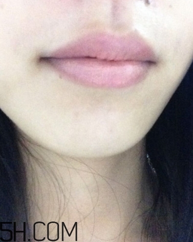 dhc美容液唇膏好嗎？dhc尊貴美容液唇膏試色