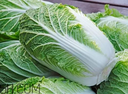 大白菜什么時候種最合適？大白菜怎么做好吃
