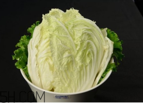 大白菜起源是哪里？大白菜產(chǎn)地分布有哪些