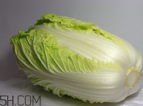 大白菜是涼性還是熱性？大白菜是什么季節(jié)的
