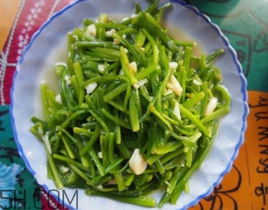 麗江水性楊花是什么菜？水性楊花菜怎么做？