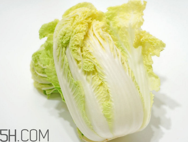 大白菜起源是哪里？大白菜產(chǎn)地分布有哪些