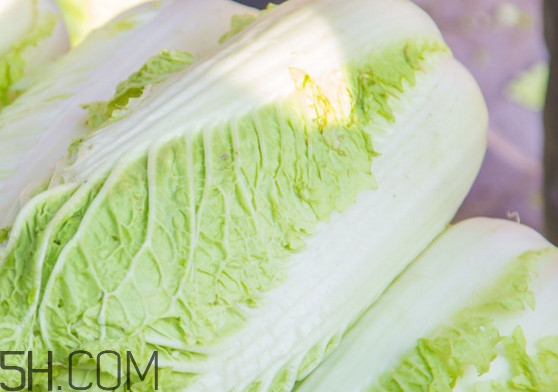 大白菜可以生吃嗎？大白菜可以隔夜吃嗎