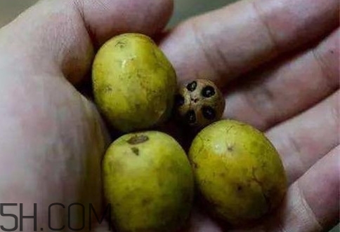 南酸棗可以泡酒嗎？南酸棗果核有什么功效