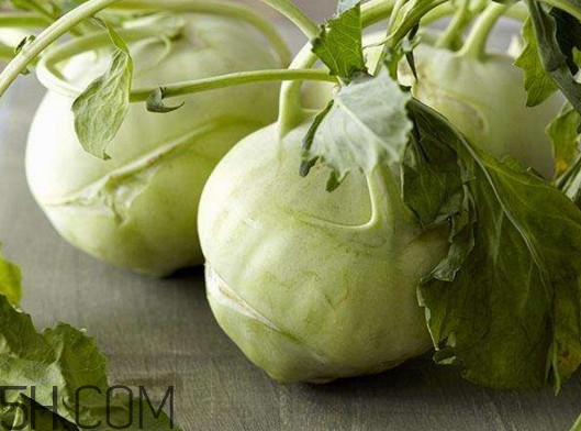 大頭菜營養(yǎng)價(jià)值有哪些？大頭菜什么時(shí)候種植