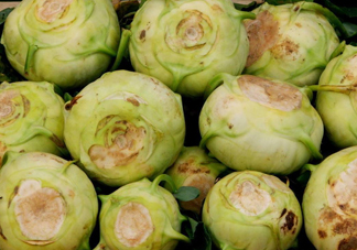 大頭菜是發(fā)物嗎？大頭菜是卷心菜嗎