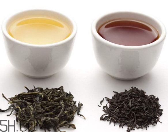 烏龍茶是什么茶？烏龍茶是紅茶還是綠茶