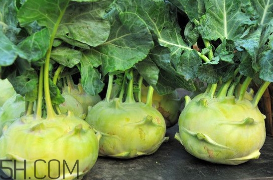 大頭菜營養(yǎng)價(jià)值有哪些？大頭菜什么時(shí)候種植