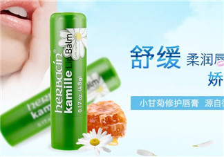 賀本清德國小甘菊潤唇膏好用嗎？賀本清德國小甘菊潤唇膏測評
