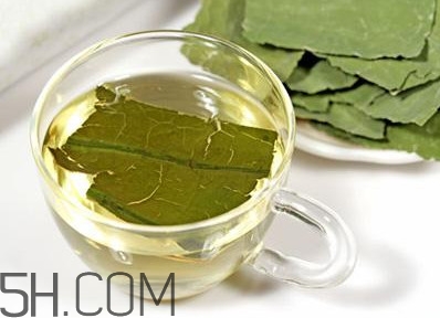 荷葉茶大概哪里有賣？荷葉茶副作用有哪些