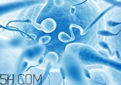 精子不液化是什么原因造成的？精子不液化吃什么藥好？