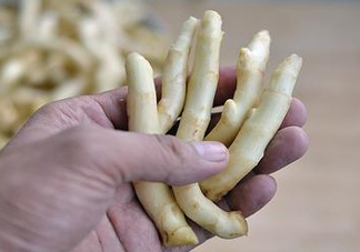 姜芽能吃嗎？姜芽怎么吃