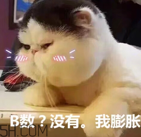 b數(shù)沒有我膨脹什么意思？b數(shù)沒有我膨脹表情包