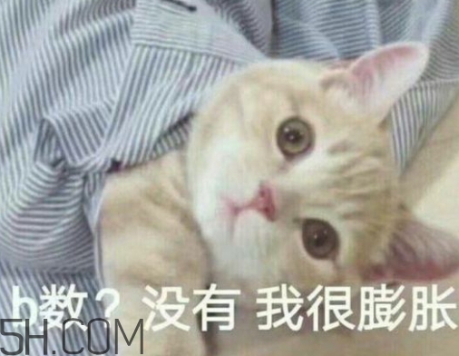 b數(shù)沒有我膨脹什么意思？b數(shù)沒有我膨脹表情包