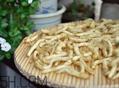 什么時(shí)候嫩姜芽上市？姜芽的功效與作用