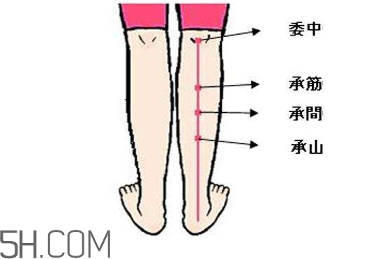 小腿抽筋可以跑步嗎？小腿抽筋可以拔火罐嗎