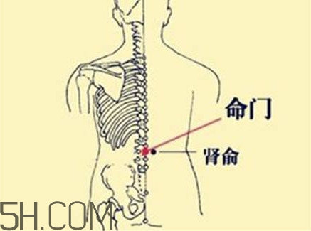 小腿抽筋可以跑步嗎？小腿抽筋可以拔火罐嗎
