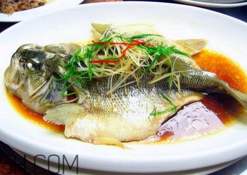 松江鱸魚(yú)怎么做？松江鱸魚(yú)養(yǎng)殖技術(shù)