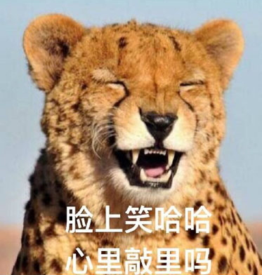 敲里lailai是什么意思？敲里lailai表情包無水印