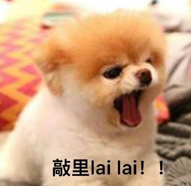 敲里lailai是什么意思？敲里lailai表情包無水印