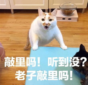 敲里lailai是什么意思？敲里lailai表情包無水印