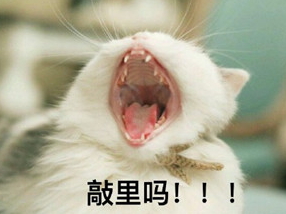 敲里lailai是什么意思？敲里lailai表情包無水印