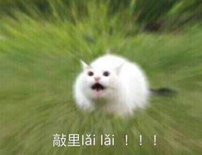 敲里lailai是什么意思？敲里lailai表情包無水印