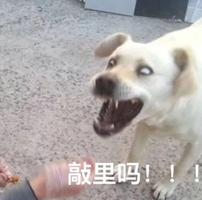 敲里lailai是什么意思？敲里lailai表情包無水印