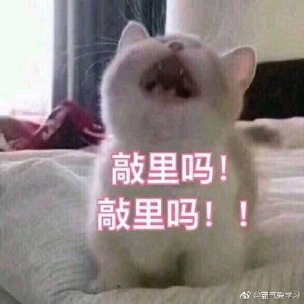 敲里lailai是什么意思？敲里lailai表情包無水印