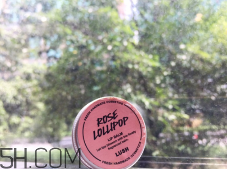 lush潤唇膏好用嗎？lush潤唇膏多少錢？