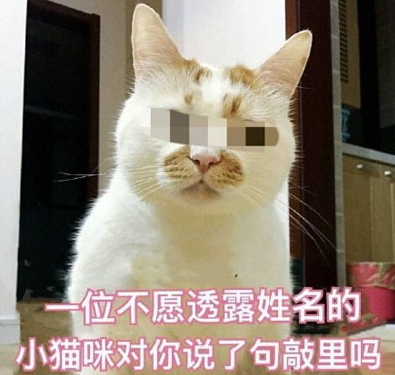 敲里lailai是什么意思？敲里lailai表情包無水印
