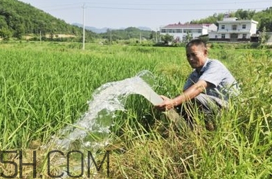 女生說抽水什么意思？女生發(fā)消息想抽水什么意思？