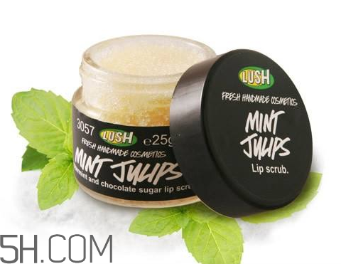 lush唇部磨砂膏好用嗎？lush唇部磨砂膏多少錢？