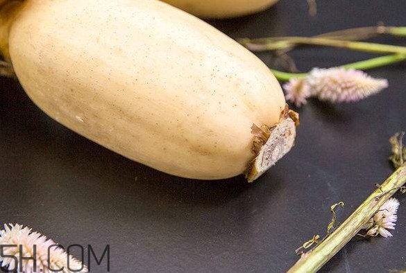 蓮藕是什么季節(jié)成熟的？蓮藕什么時(shí)候種植