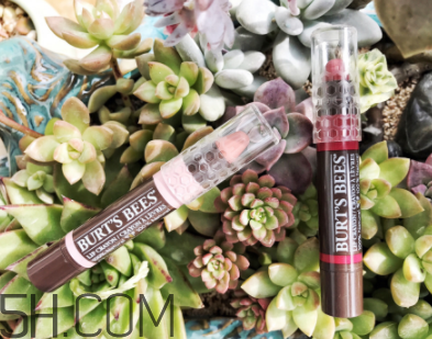 小蜜蜂唇膏筆多少錢？小蜜蜂唇膏筆很貴嗎？